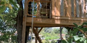 cabane dans les arbres sur Poitiers par l'équipe les Tontons couvreur et West Wood Tiny